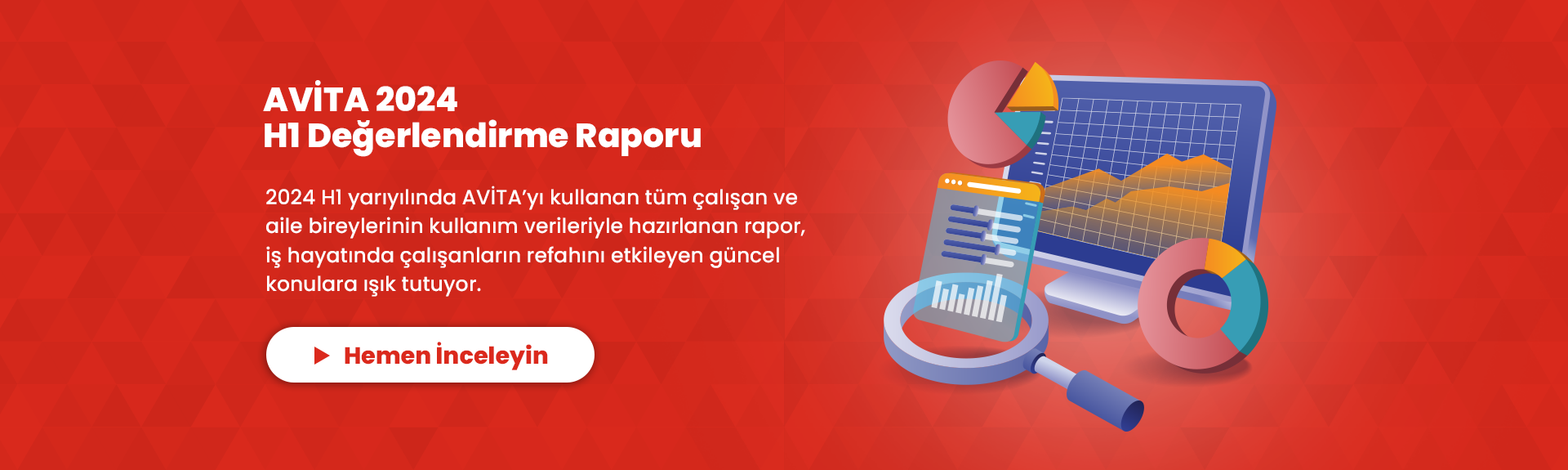 AVİTA 2023 1. Yarıyıl Değerlendirme Raporu